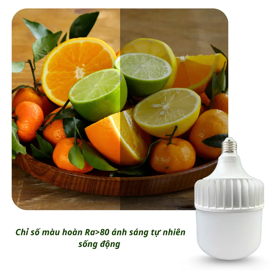 Ánh sáng đèn LED bulb trụ TN Ra>80 cho màu sắc chân thực