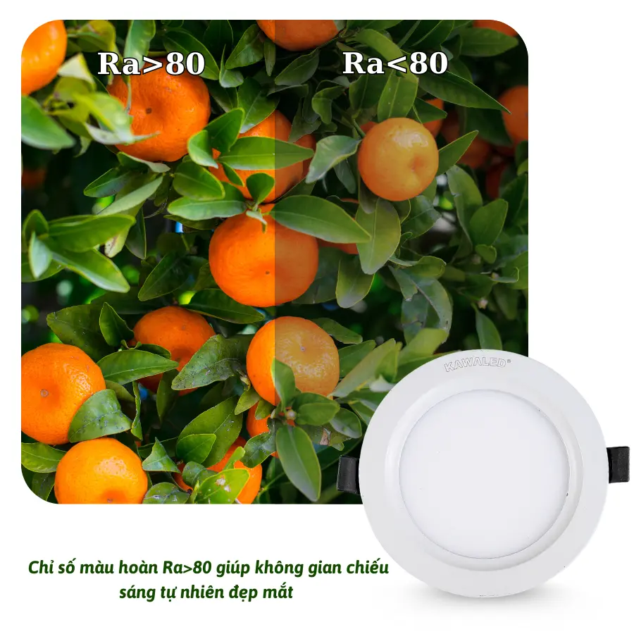 So sánh đèn LED âm trần DL với CRI cao và thấp