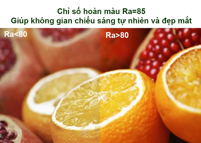 Chỉ số hoàn màu Ra=85