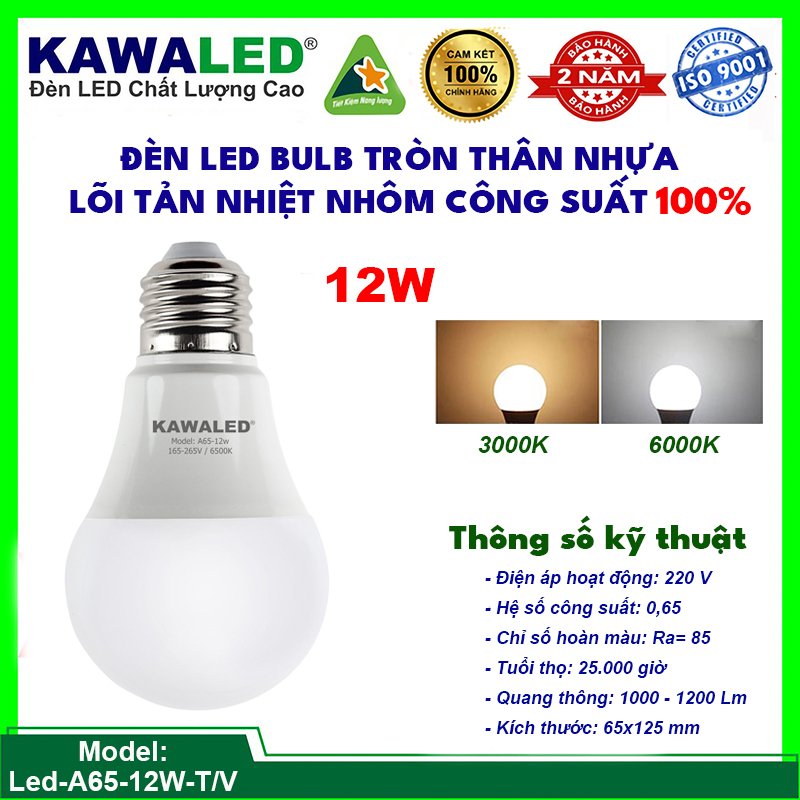 den-led-bulb-tron-led-a65-12w(1)