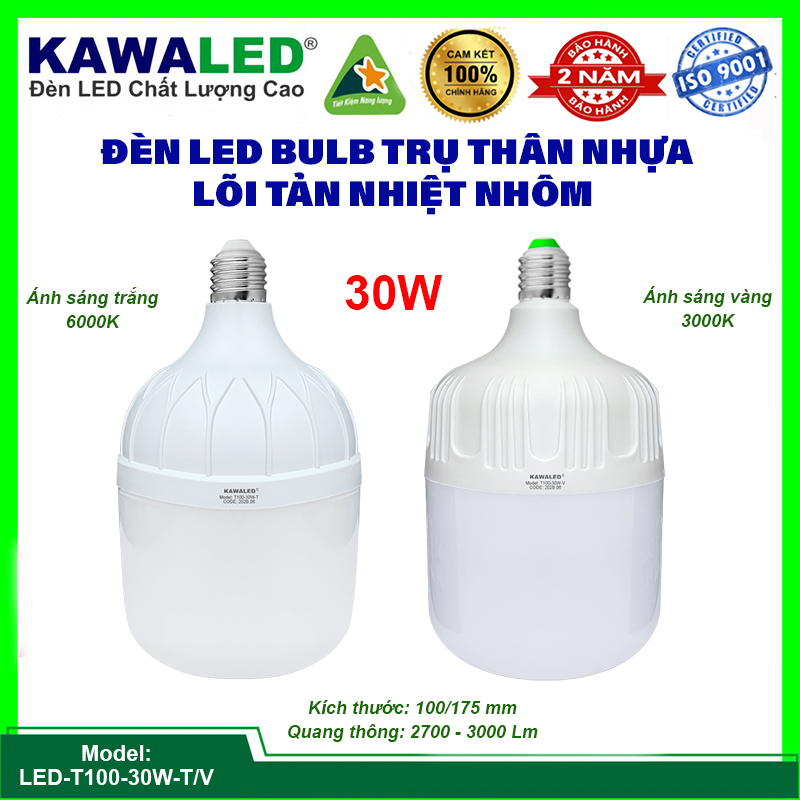 den-led-bulb-tru-t100-30w(1)