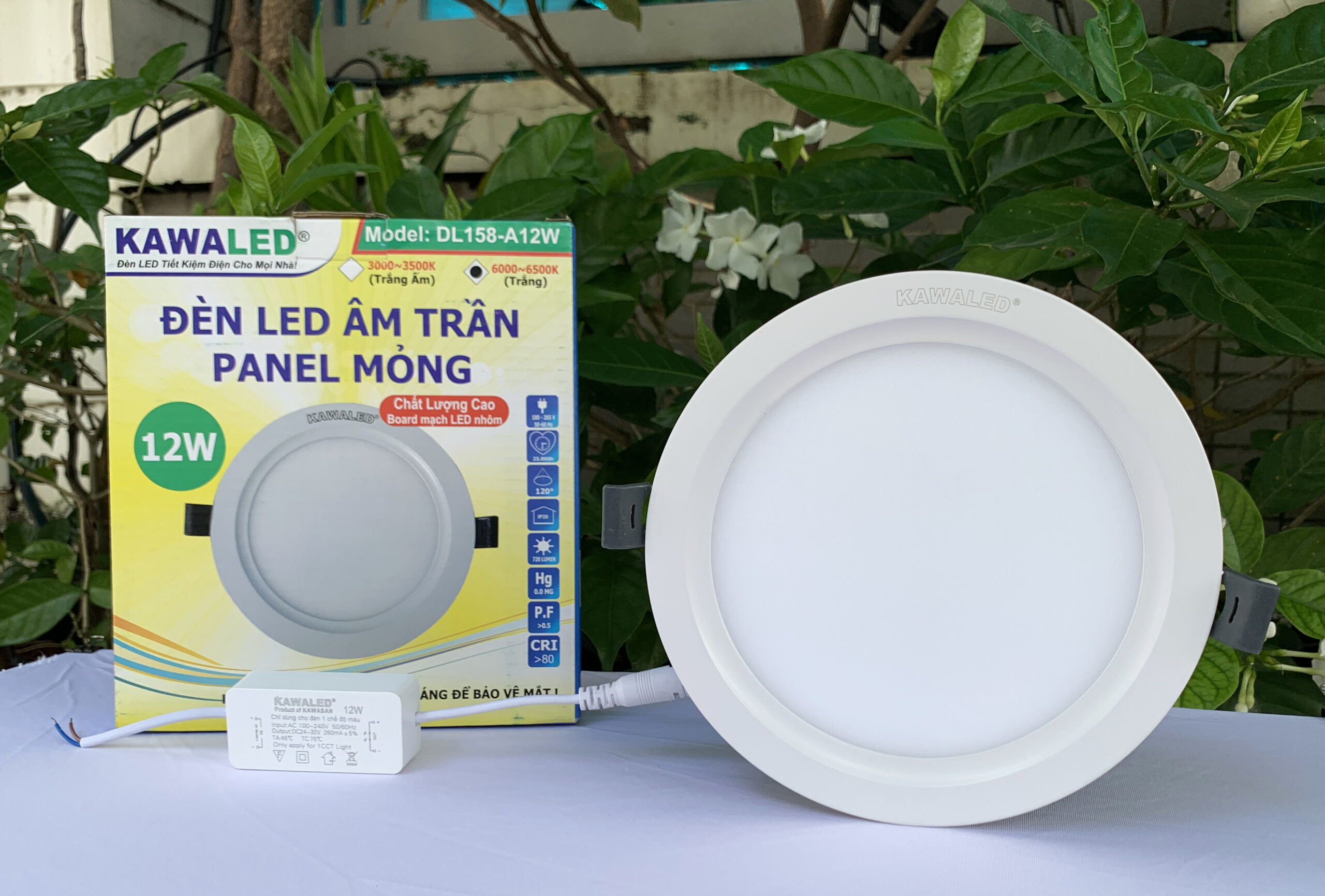 Đèn led âm trần giật cấp 1 màu giật cấp