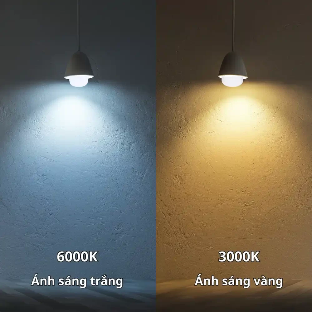 So sánh ánh sáng trắng 6000K và ánh sáng vàng 3000K của đèn LED bulb trụ