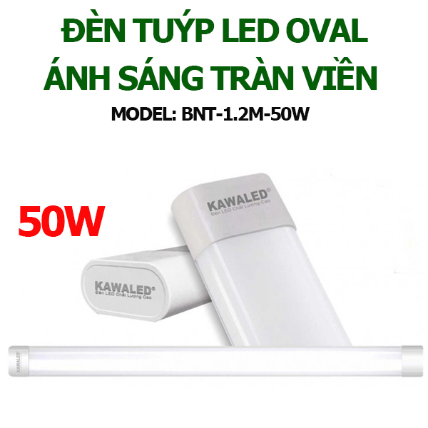 den-tuyp-led-oval-bnt-1