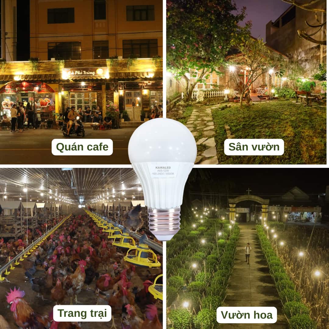  Bóng đèn LED bulb dùng cho quán cafe, sân vườn, vườn hoa và trại gà