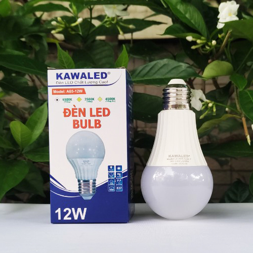 Đèn Led bulb tròn thân nhựa 12w