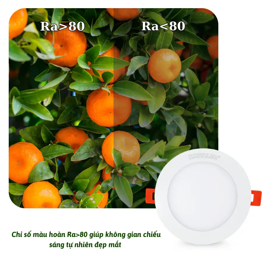 So sánh chỉ số hoàn màu Ra>80 và Ra