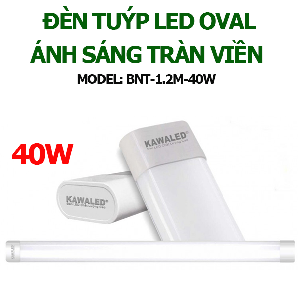 den-tuyp-led-oval-bnt-1