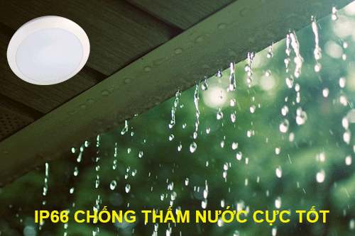 Đèn trần cảm ứng có chỉ số kín nước IP66 chống thấm hiệu quả