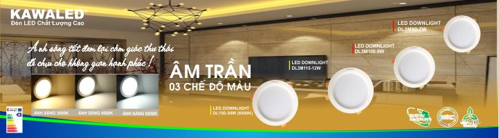 Bóng đèn led chiếu sáng