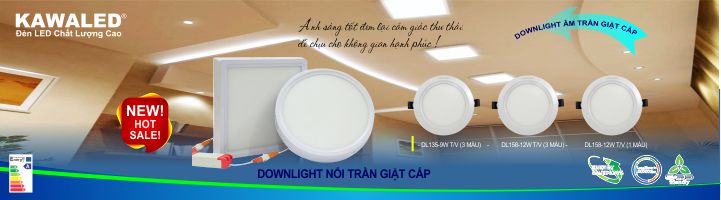 Bóng đèn led chiếu sáng