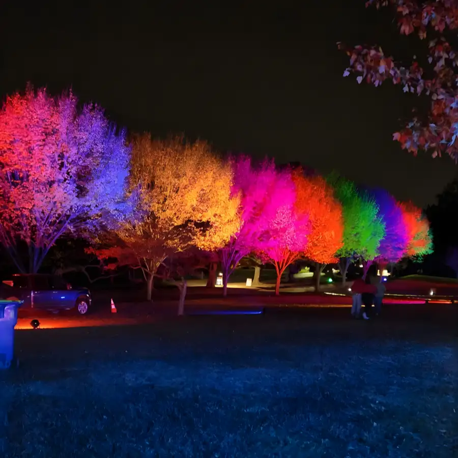 Đèn pha đổi màu FL-RGB2 chiếu sáng cây xanh với hiệu ứng RGB rực rỡ ngoài trời.