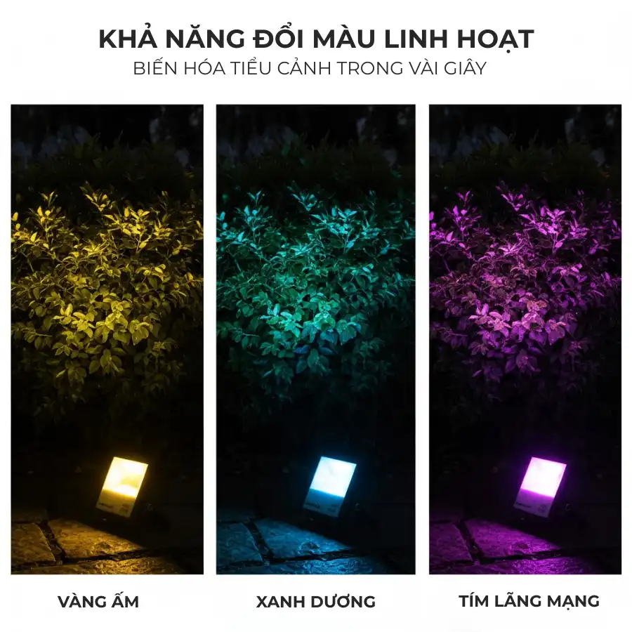 Đèn pha FL-RGB2 hiển thị ba màu vàng ấm, xanh dương và tím.