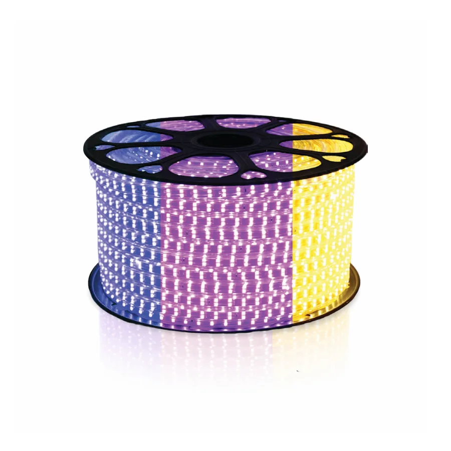 Đèn LED dây 3 chế độ màu FL-2835-3CĐ xanh dương vàng tím 220V 2 hàng bóng