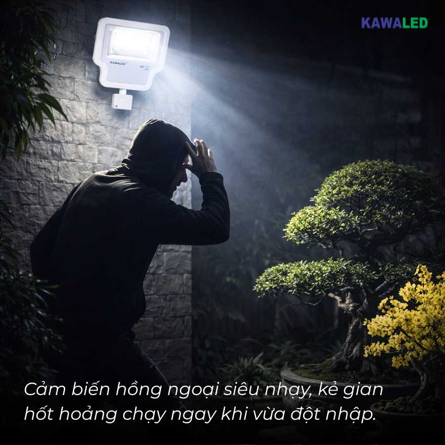 Chống trộm cây cảnh với đèn pha LED cảm ứng, bật sáng khi kẻ gian xâm nhập khu vực bonsai