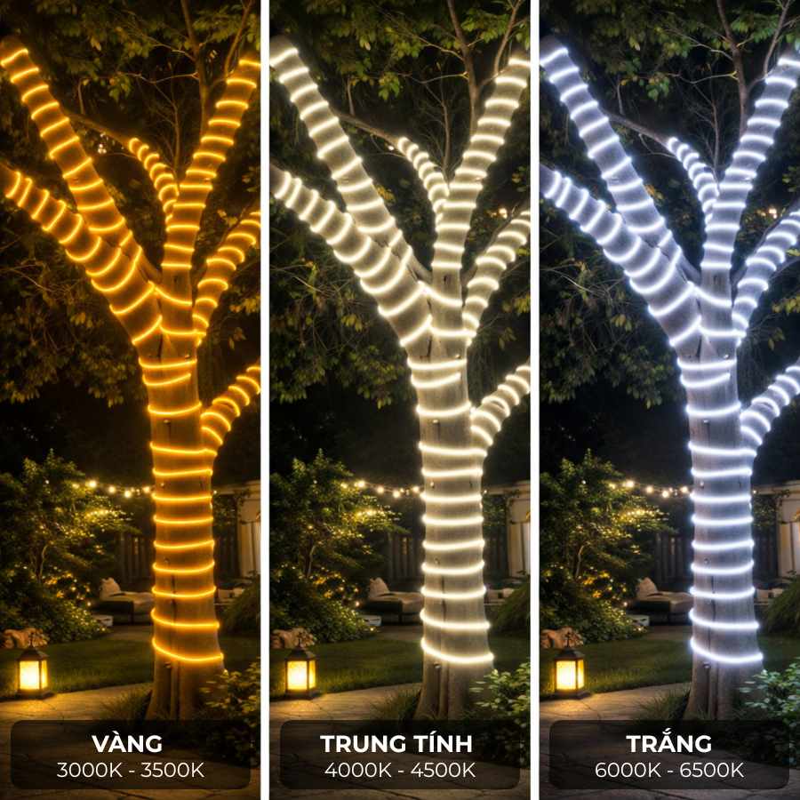 So sánh đèn LED dây COB chống chói với ba màu ánh sáng khi quấn cây