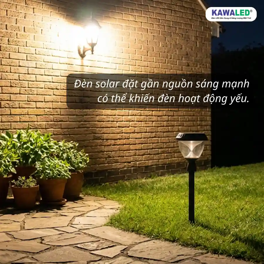 Đèn cắm cỏ năng lượng mặt trời đặt gần đèn tường ngoài nhà