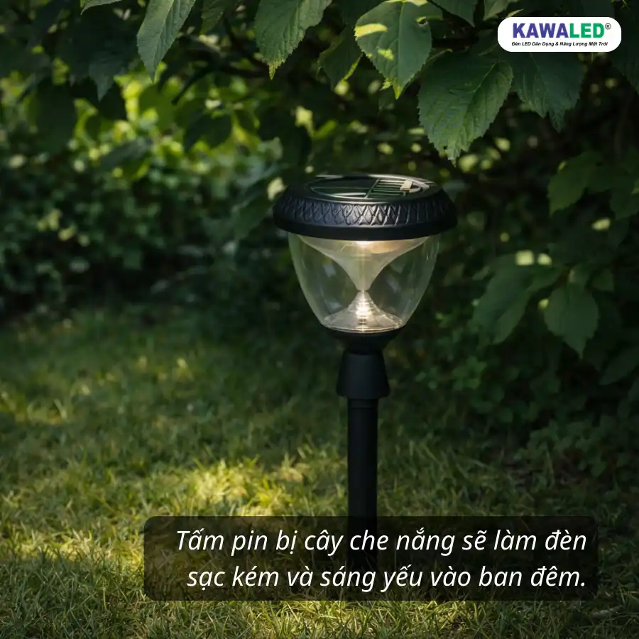 Đèn cắm cỏ sân vườn bị tán cây che ánh nắng