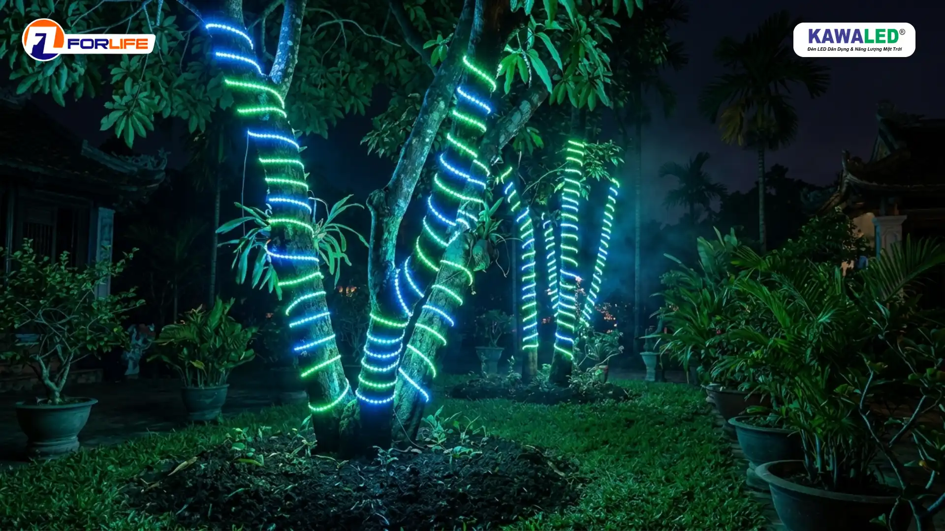 đèn led quấn cây ngoài trời tạo hiệu ứng ánh sáng đẹp