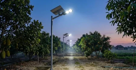 đèn năng lượng mặt trời chiếu sáng lối đi trong trang trại vào buổi tối