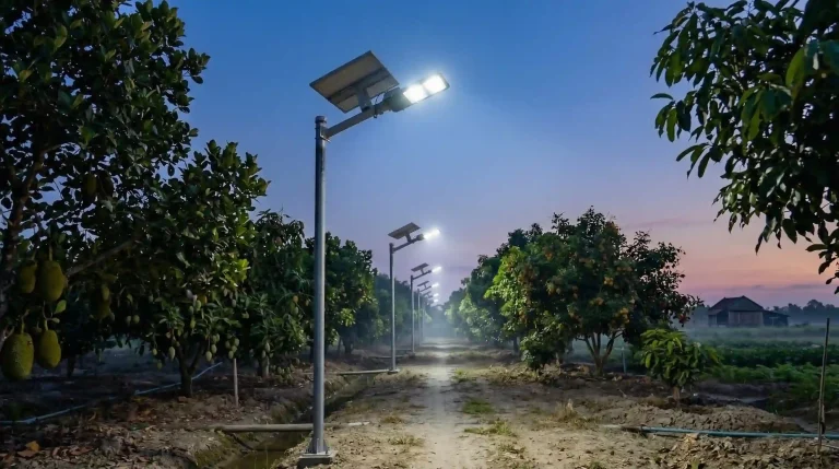đèn năng lượng mặt trời chiếu sáng lối đi trong trang trại vào buổi tối