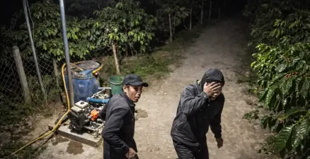 đèn pha cảm ứng bật sáng giúp camera ghi hình rõ kẻ gian trong vườn ban đêm