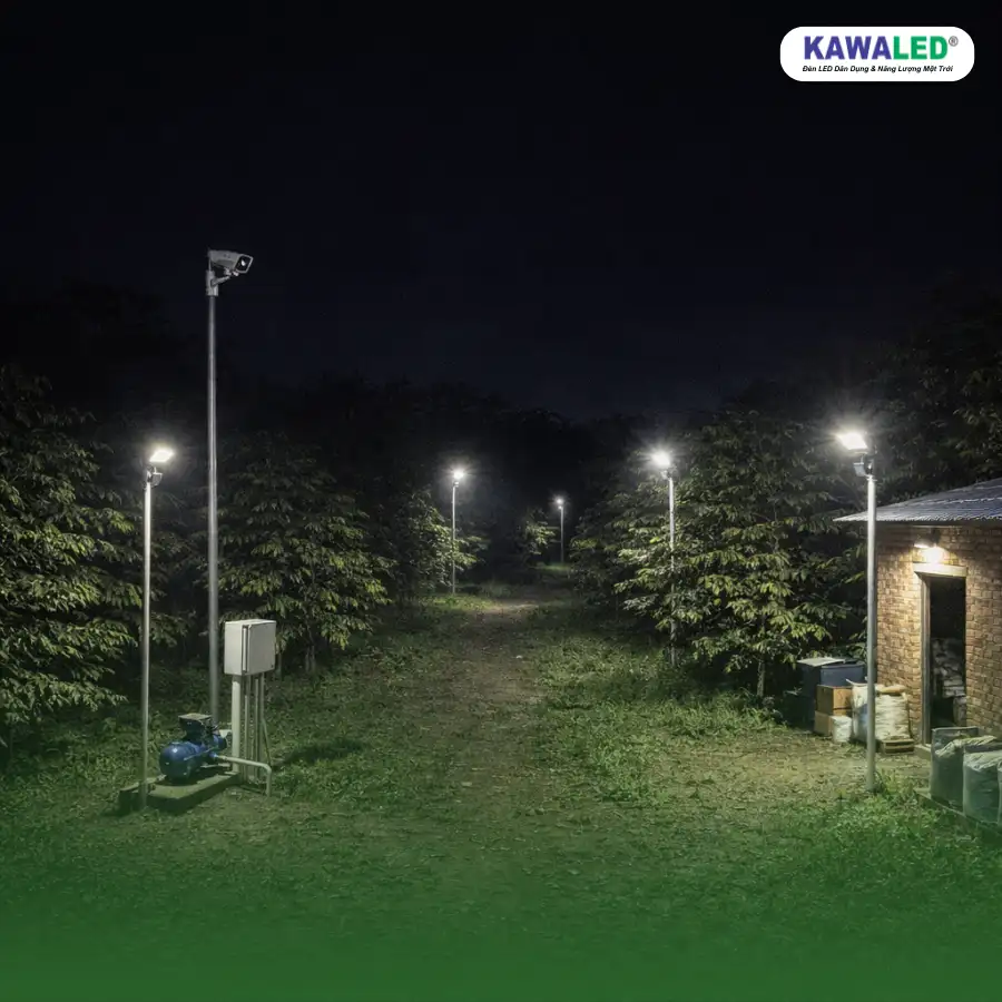 hệ thống đèn pha LED chiếu sáng vườn ban đêm tăng an ninh