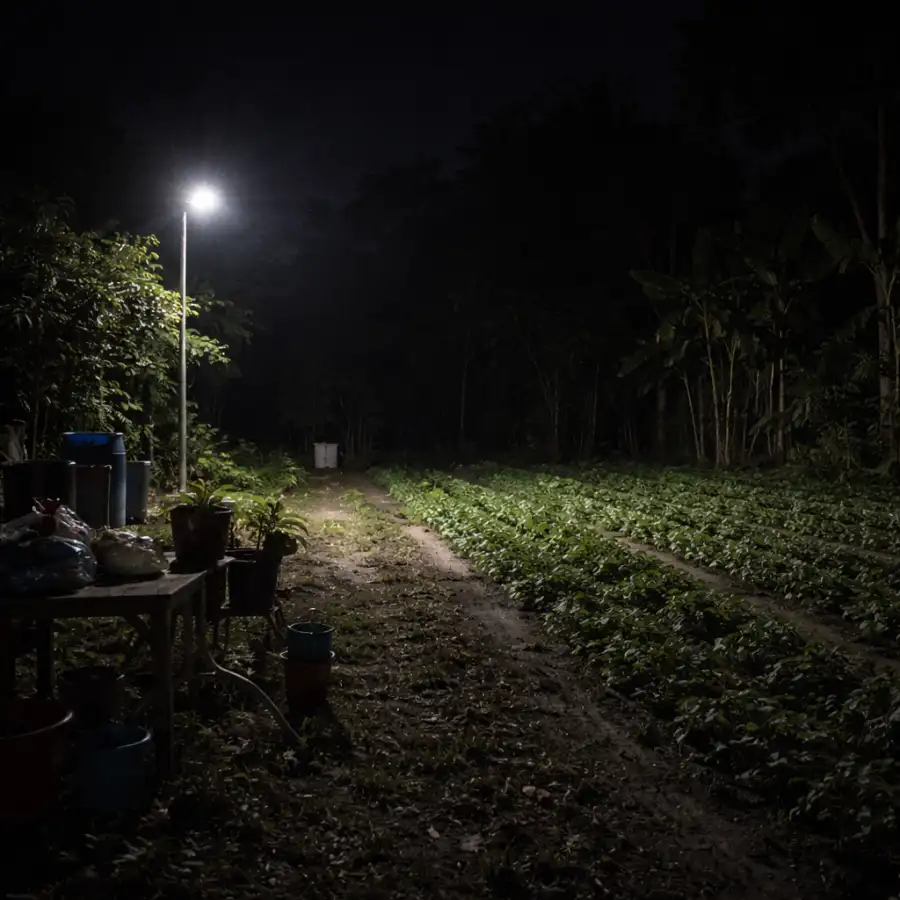 Chỉ lắp một đèn pha LED cho khu vực rộng khiến ánh sáng không đều