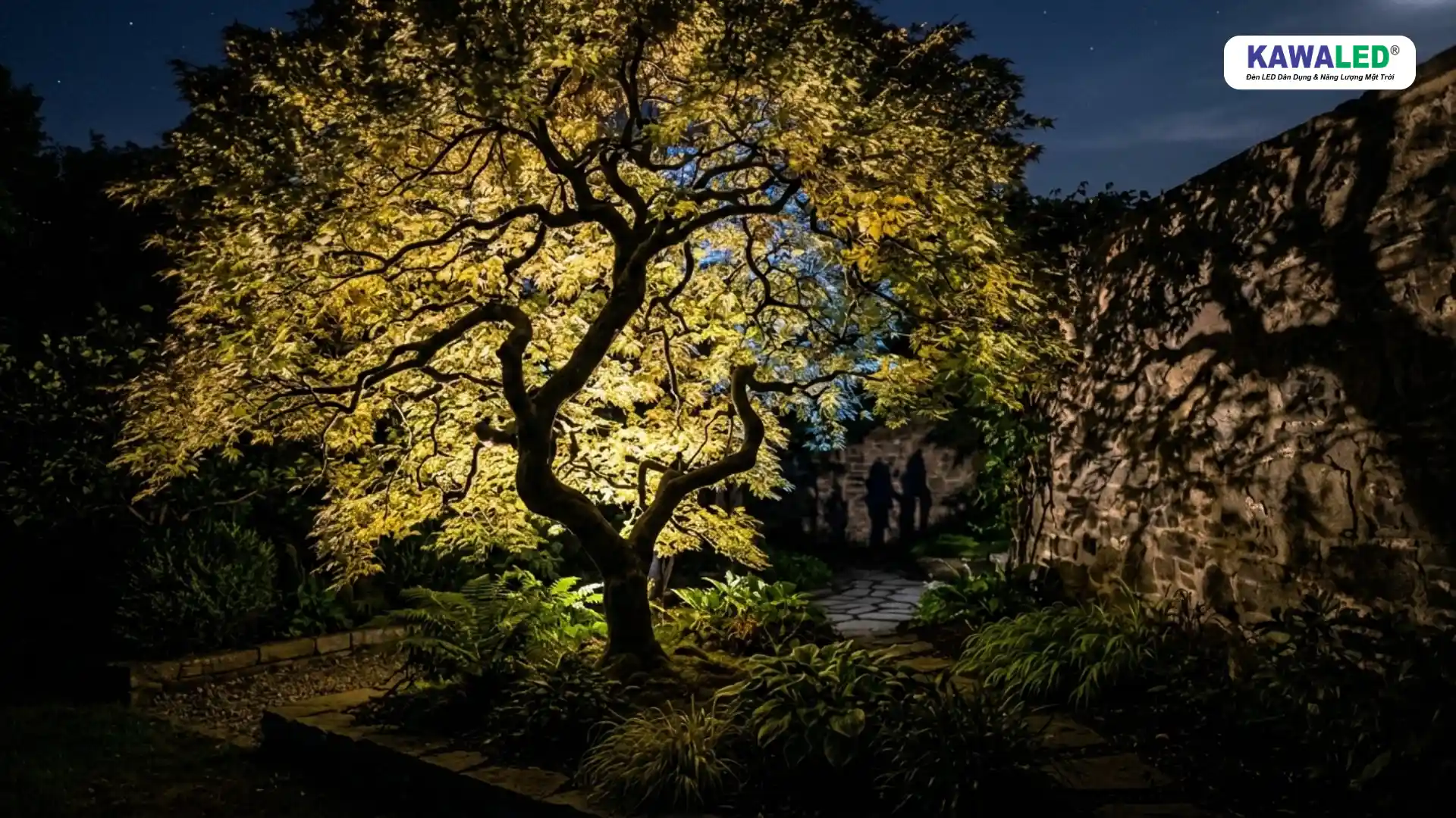 trang trí sân vườn với ánh sáng hắt vào cây tạo chiều sâu ban đêm