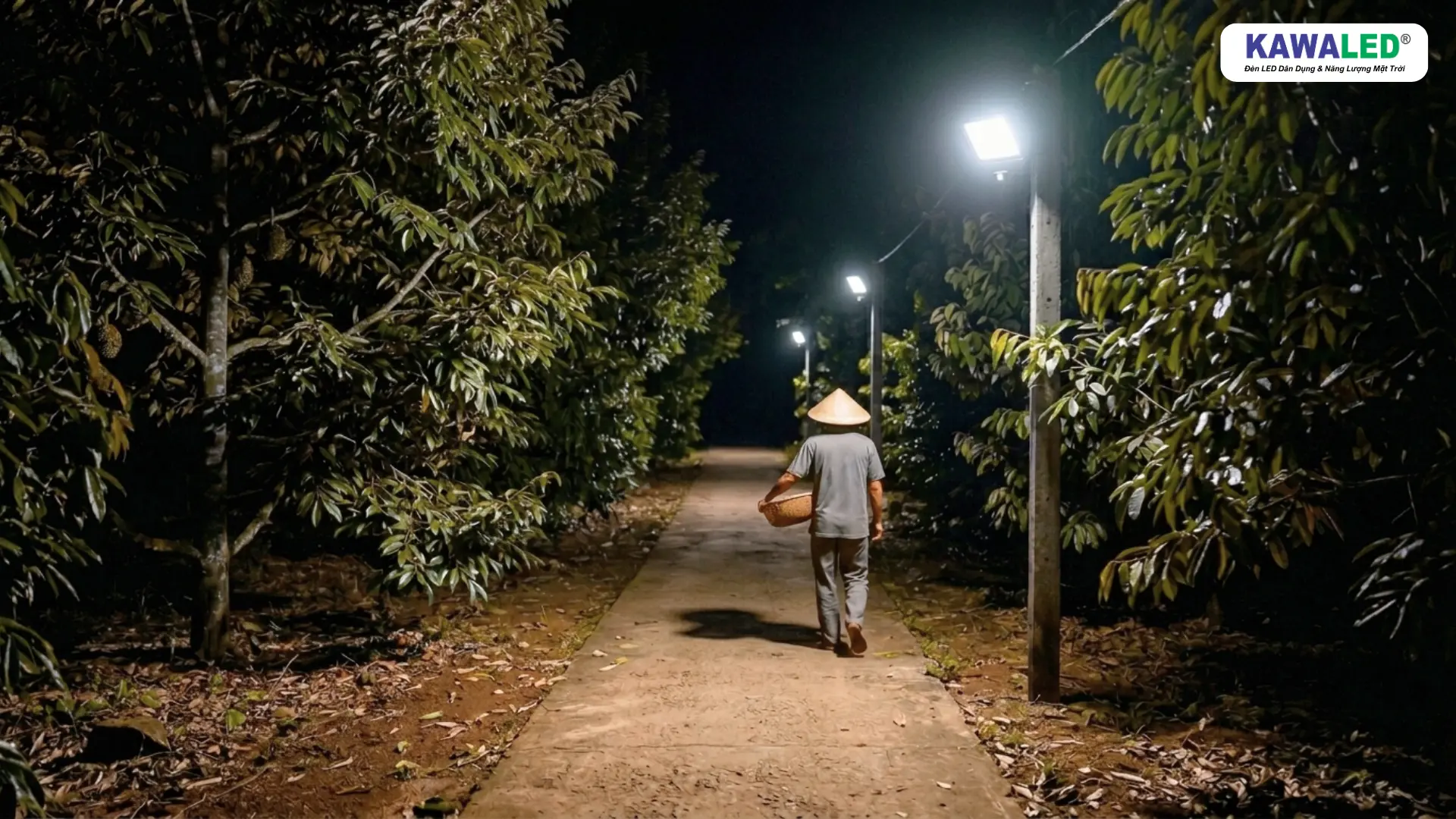 Đèn cảm ứng ngoài trời chiếu sáng lối đi nhà vườn vào ban đêm