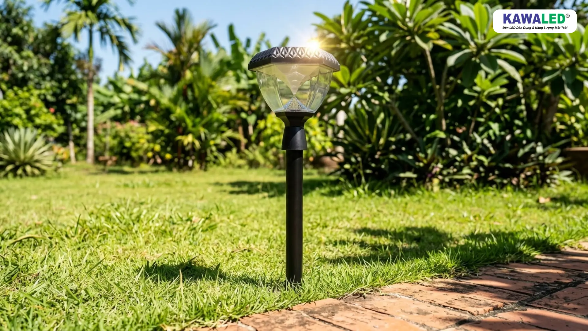 đèn led năng lượng mặt trời cắm cỏ ngoài trời