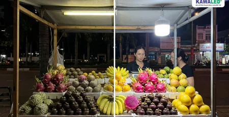 So sánh màu sắc trái cây dưới đèn LED CRI thấp và đèn LED KAWALED CRI cao