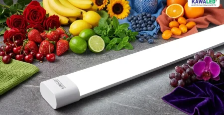 CRI cao giúp tái tạo màu sắc chính xác dưới ánh sáng đèn LED Oval KAWALED