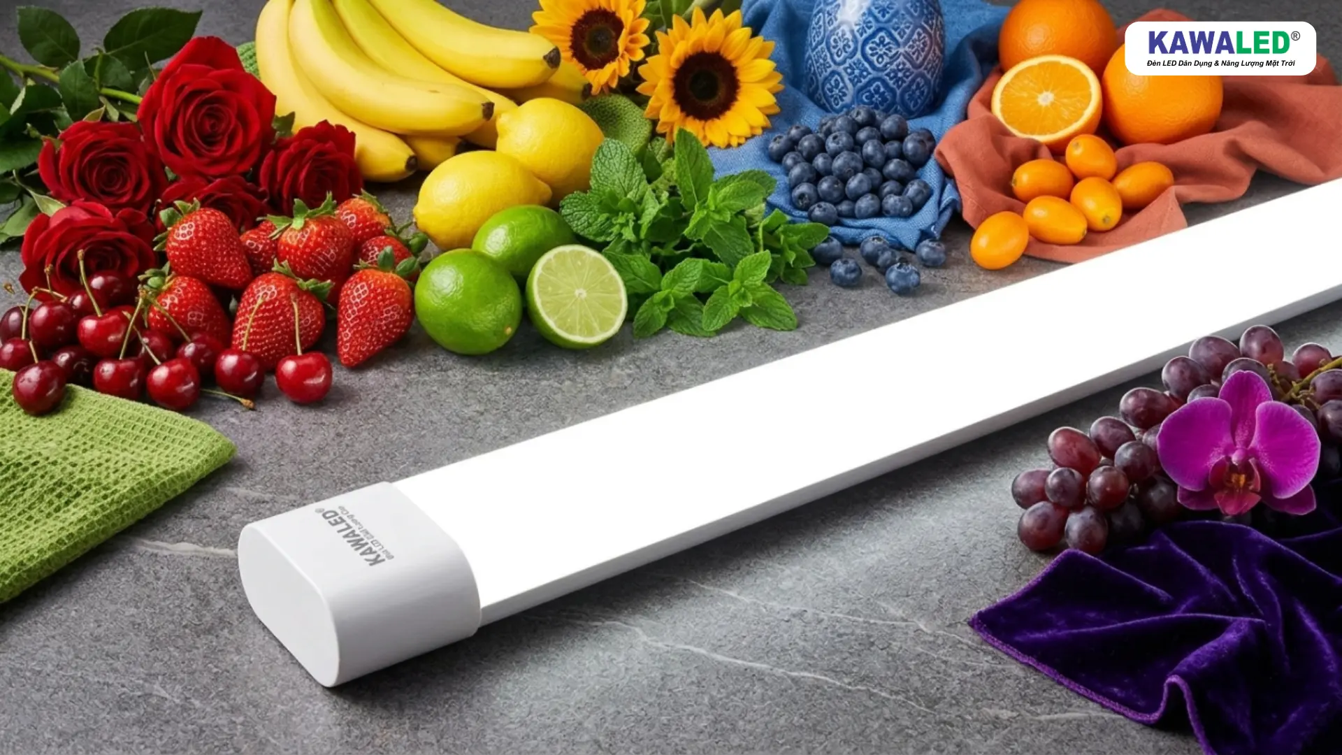 CRI cao giúp tái tạo màu sắc chính xác dưới ánh sáng đèn LED Oval KAWALED