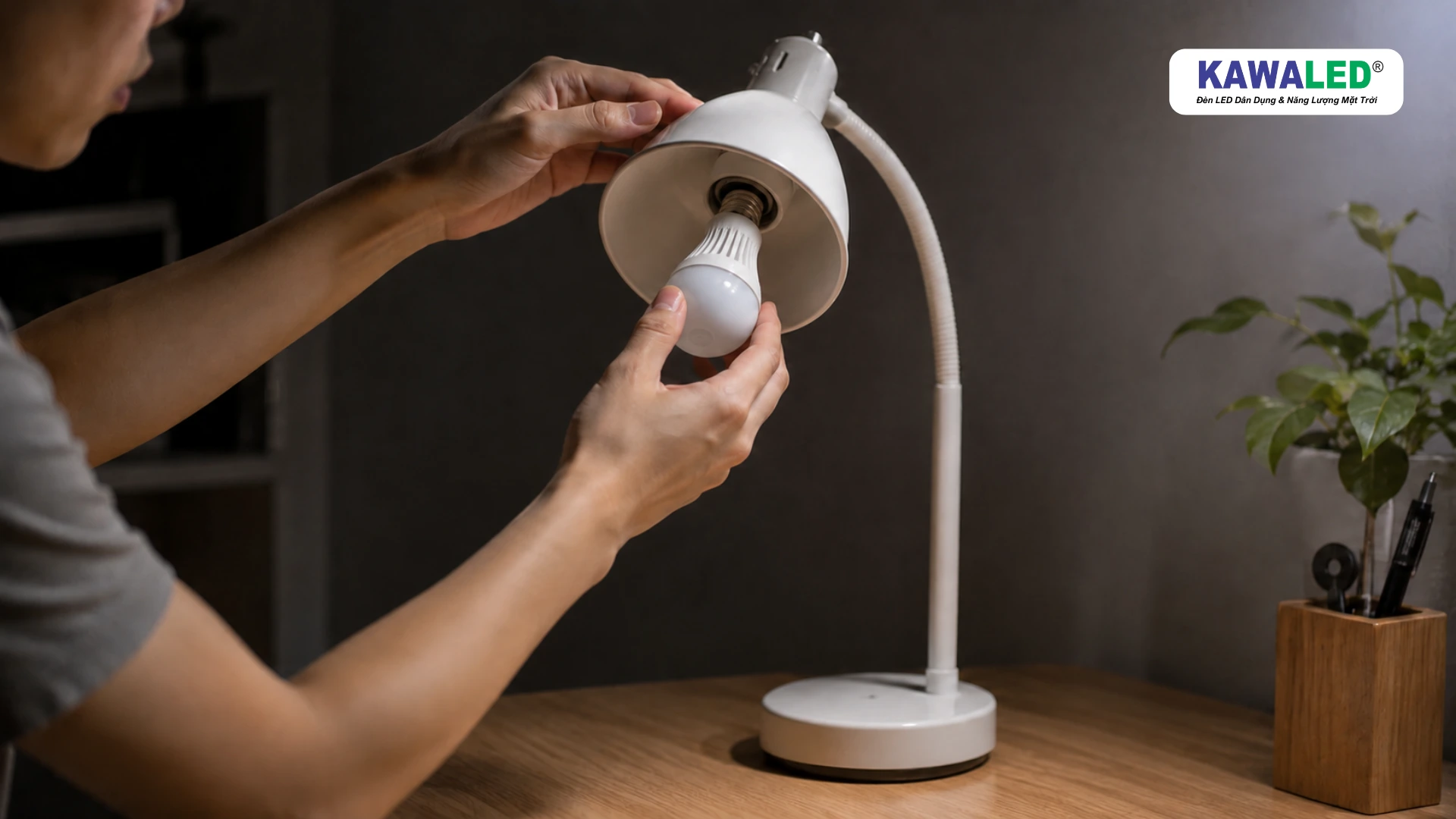 Người dùng kiểm tra bóng đèn LED bulb tròn và đui E27 trước khi sử dụng