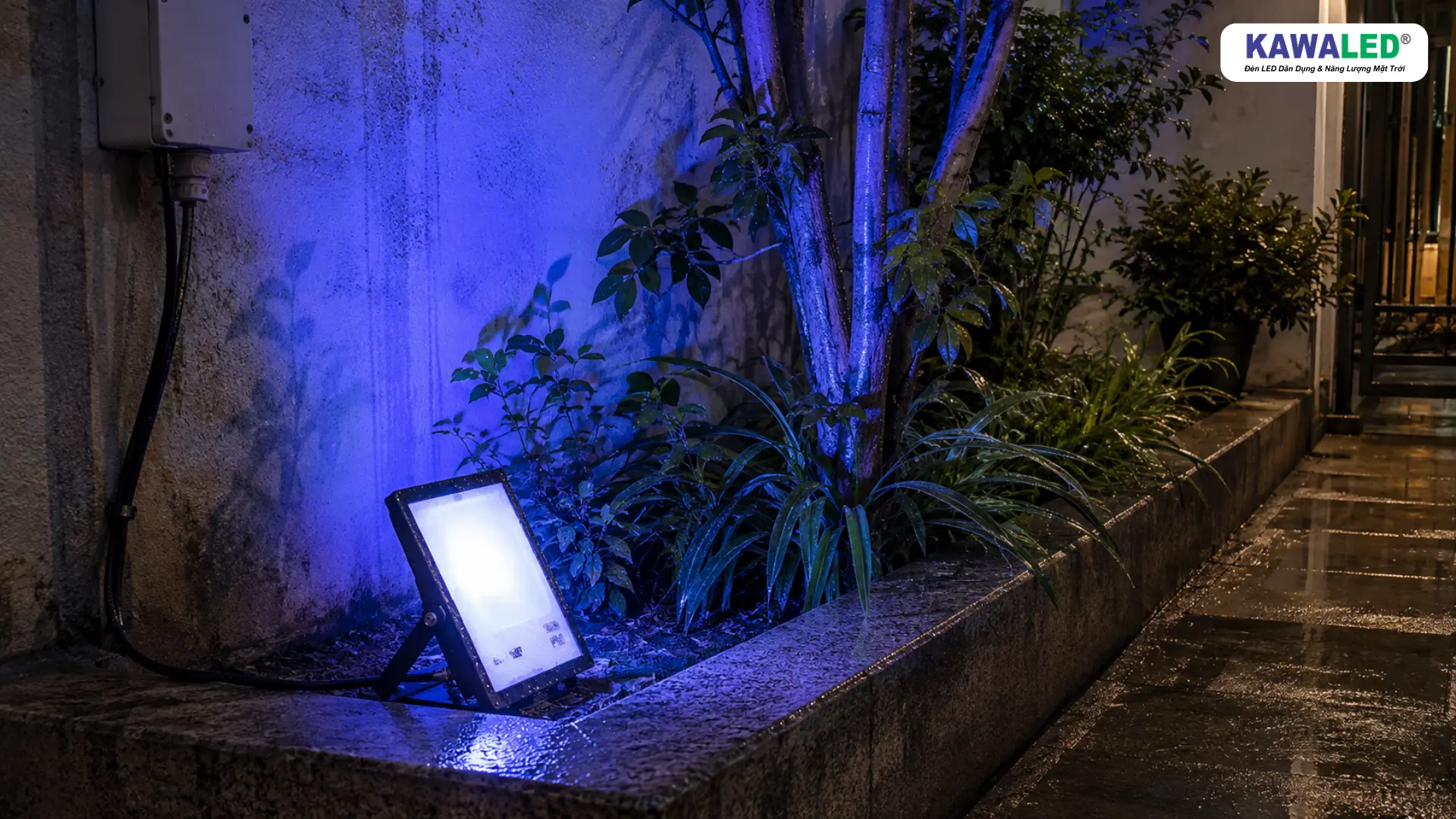 Đèn pha đổi màu ngoài trời lắp tại sân vườn sau mưa