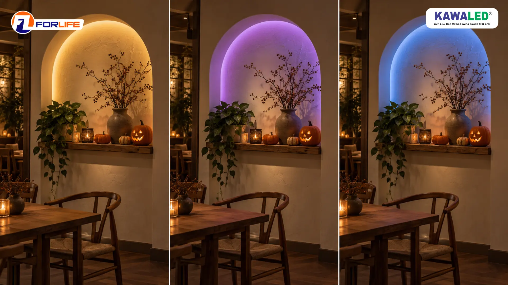 Cùng một góc decor Halloween được minh họa với ánh sáng LED dây vàng ấm, tím và xanh dương.